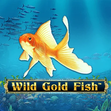 Wild Gold Fish